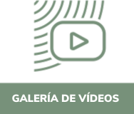 galeria-videos